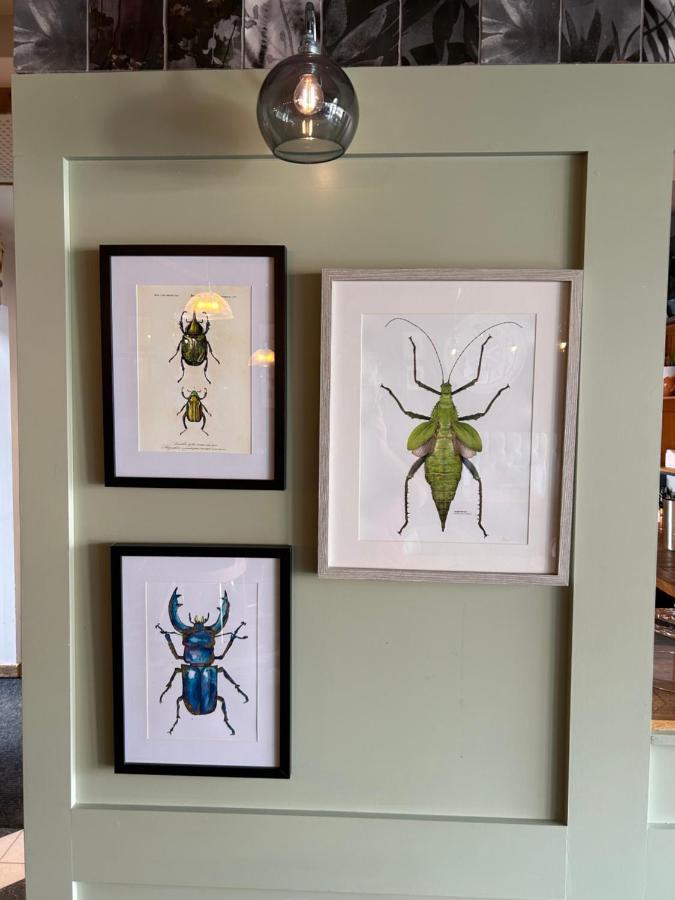 Rooms@73 Waterlooville Esterno foto